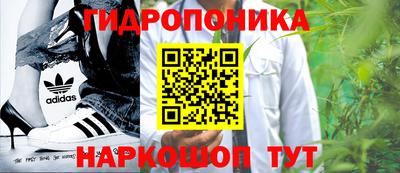 гашик Пенза
