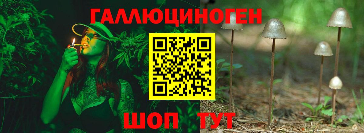Семёнов  Галлюциногенные грибы Psilocybe  Вход с VPN 
